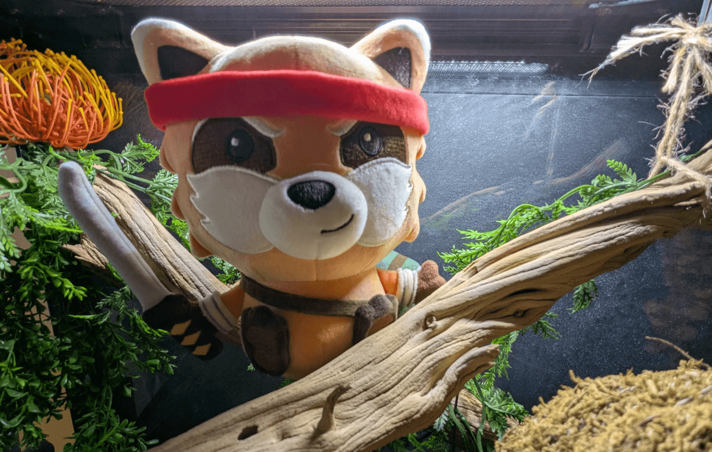 Article header image for Project Zomboid Charity Merch Update Patch Notes (14th April 2026)