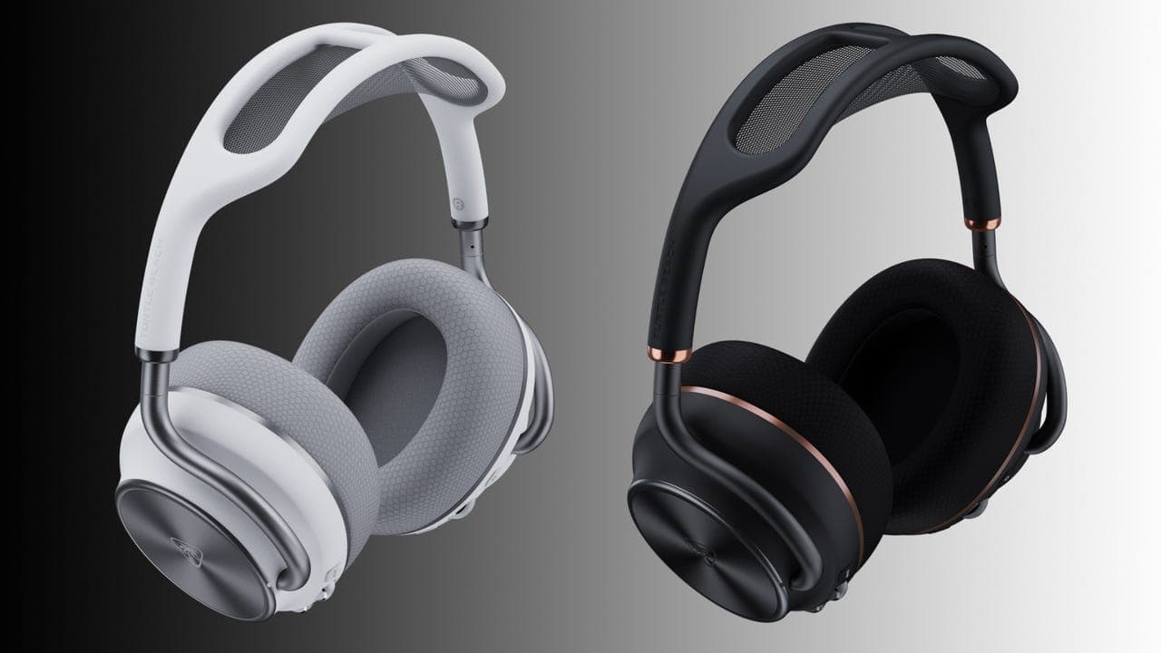 Turtle Beach key art