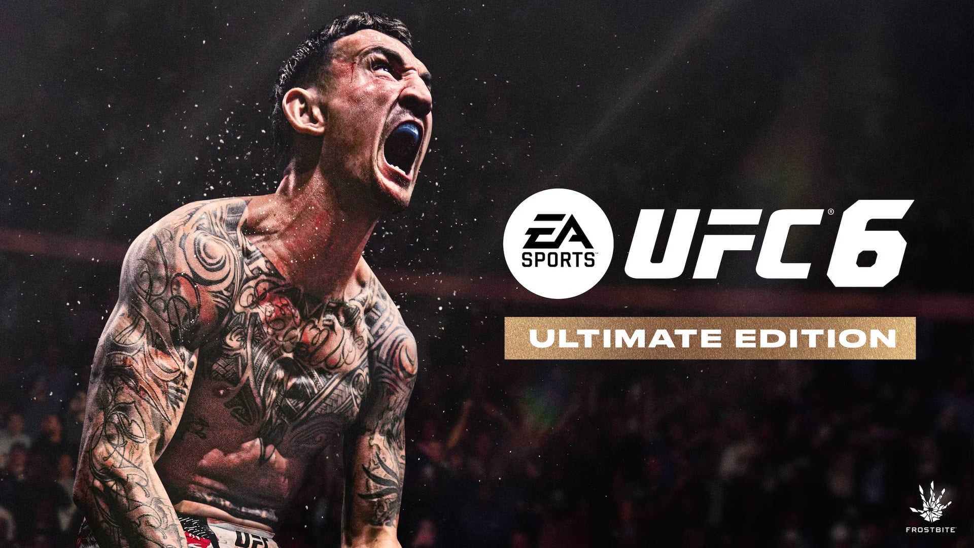 UFC 6 key art