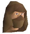 NPC Portrait