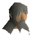 NPC Portrait