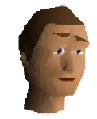 NPC Portrait